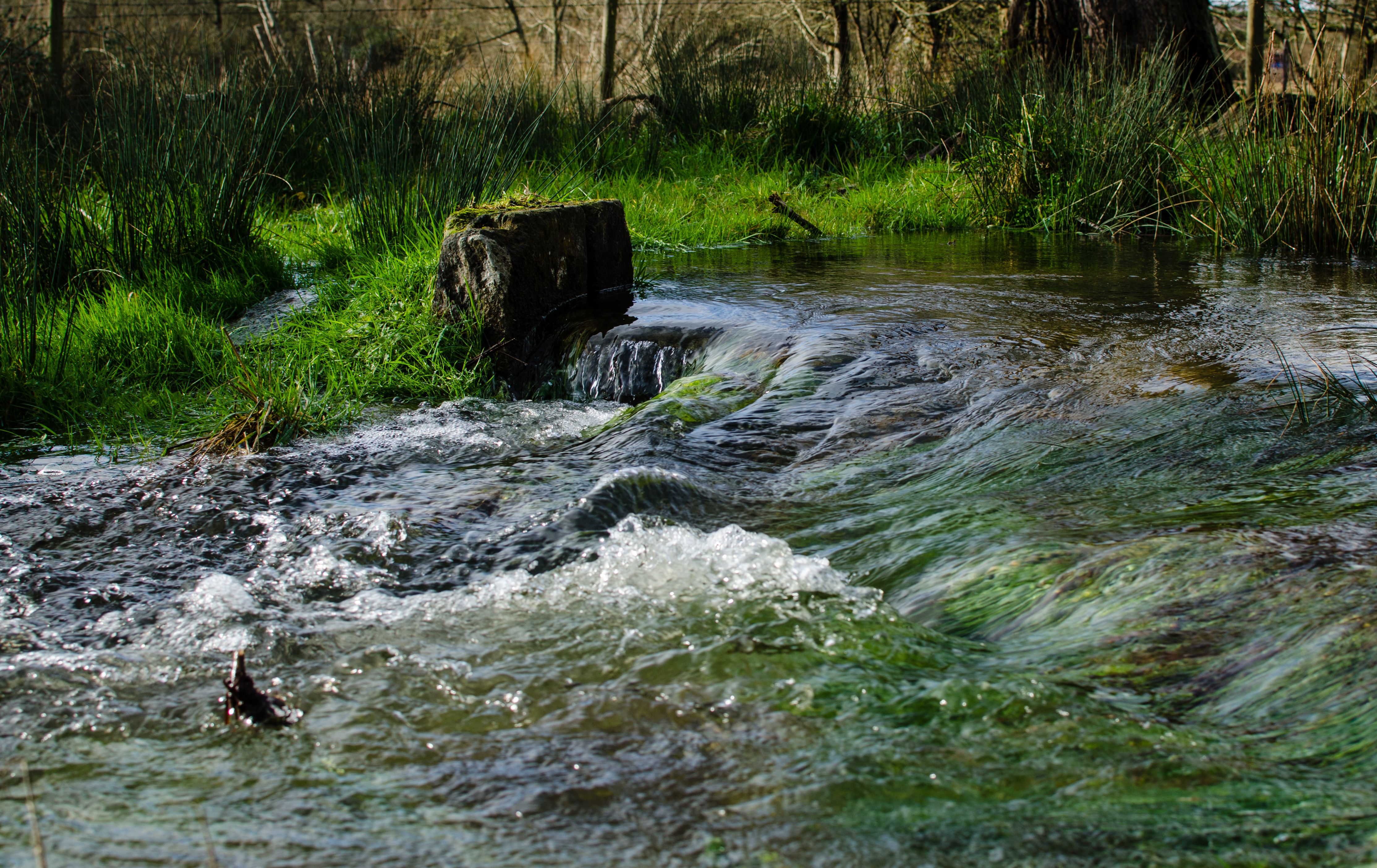 Dorset Rivers 2 Photos & Videos Collected by Joshua David