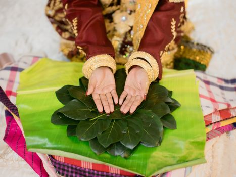 Hands performing a traditional ritual with leaves in Southeast Sulawesi, Indonesia.