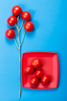Flat lay of red tomatoes on vine and plate against a blue backdrop.