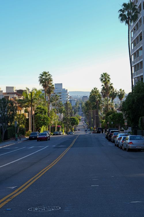 Free A vibrant street in California City lined with tall palm trees and parked cars under a clear blue sky. Stock Photo