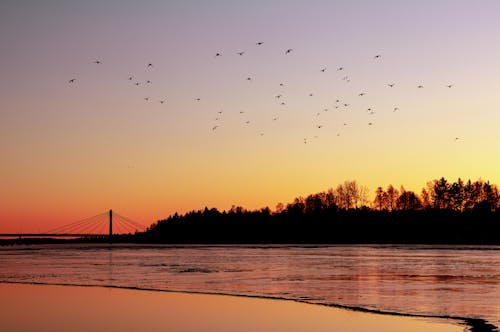 Free stock photo of gradient, river, sunset