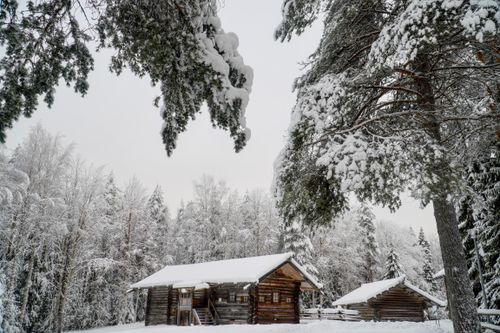 Free Log cabin surrounded by snow-laden trees in a serene Russian forest, Archangelsk Oblast. Stock Photo