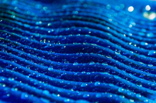 Close-up of water droplets on a vibrant blue textured surface, creating an abstract pattern.