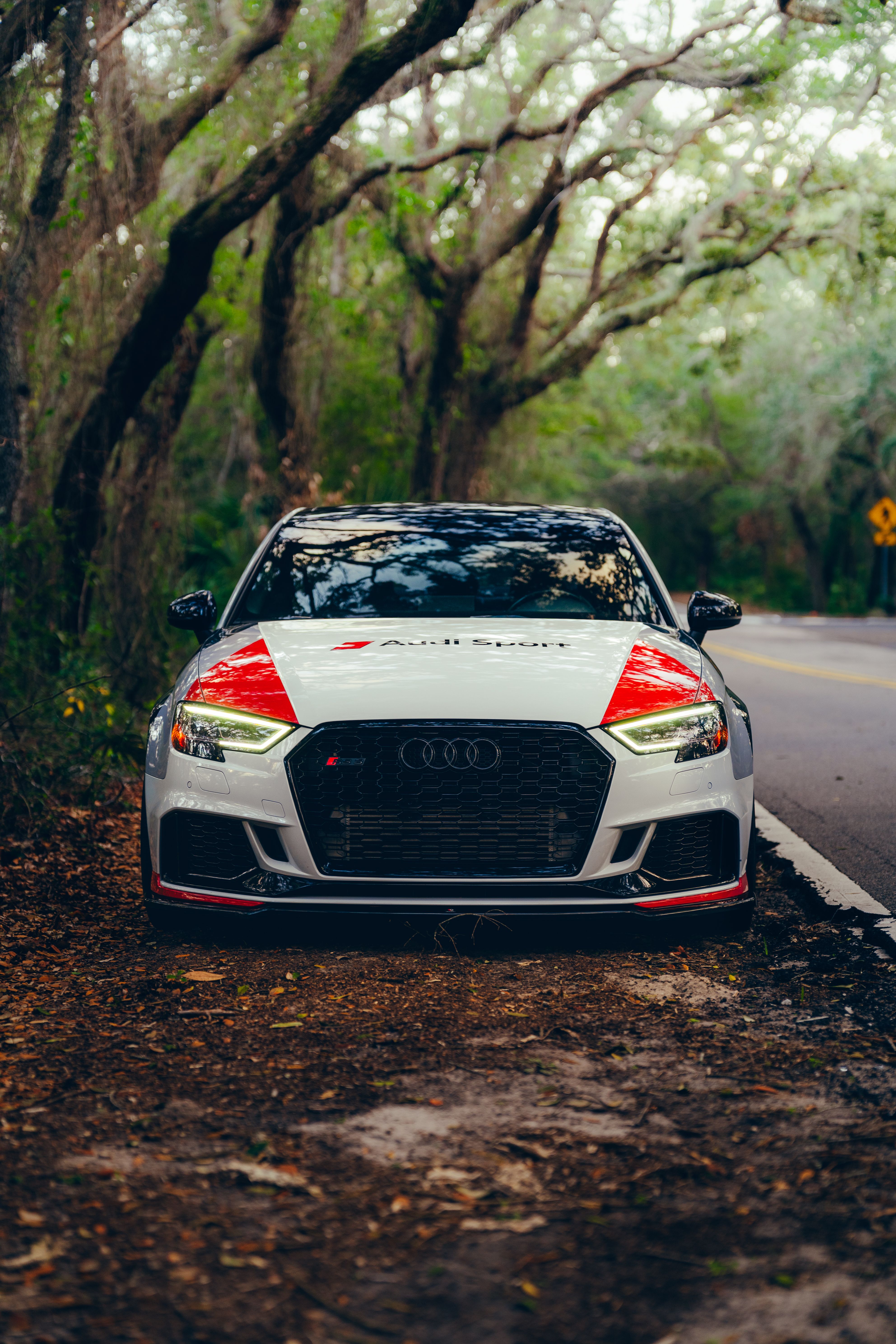 White Sports Car on Scenic Forest Road · Free Stock Photo