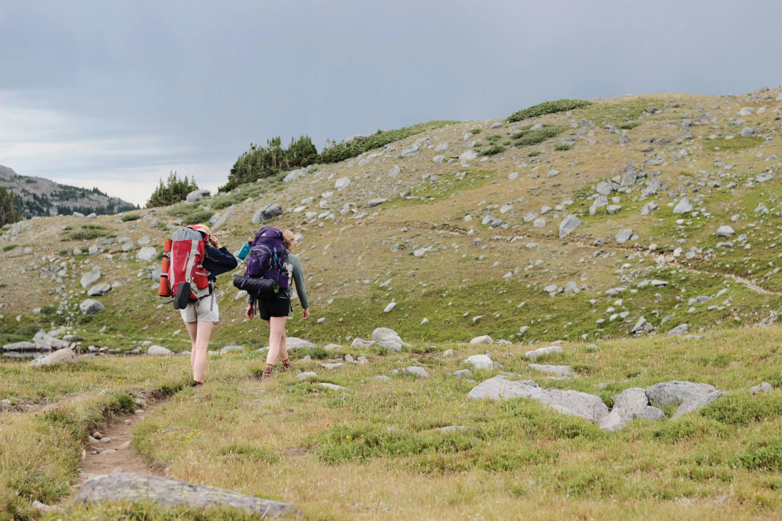 gear reviews gear ratings — Photo by sig on Pexels