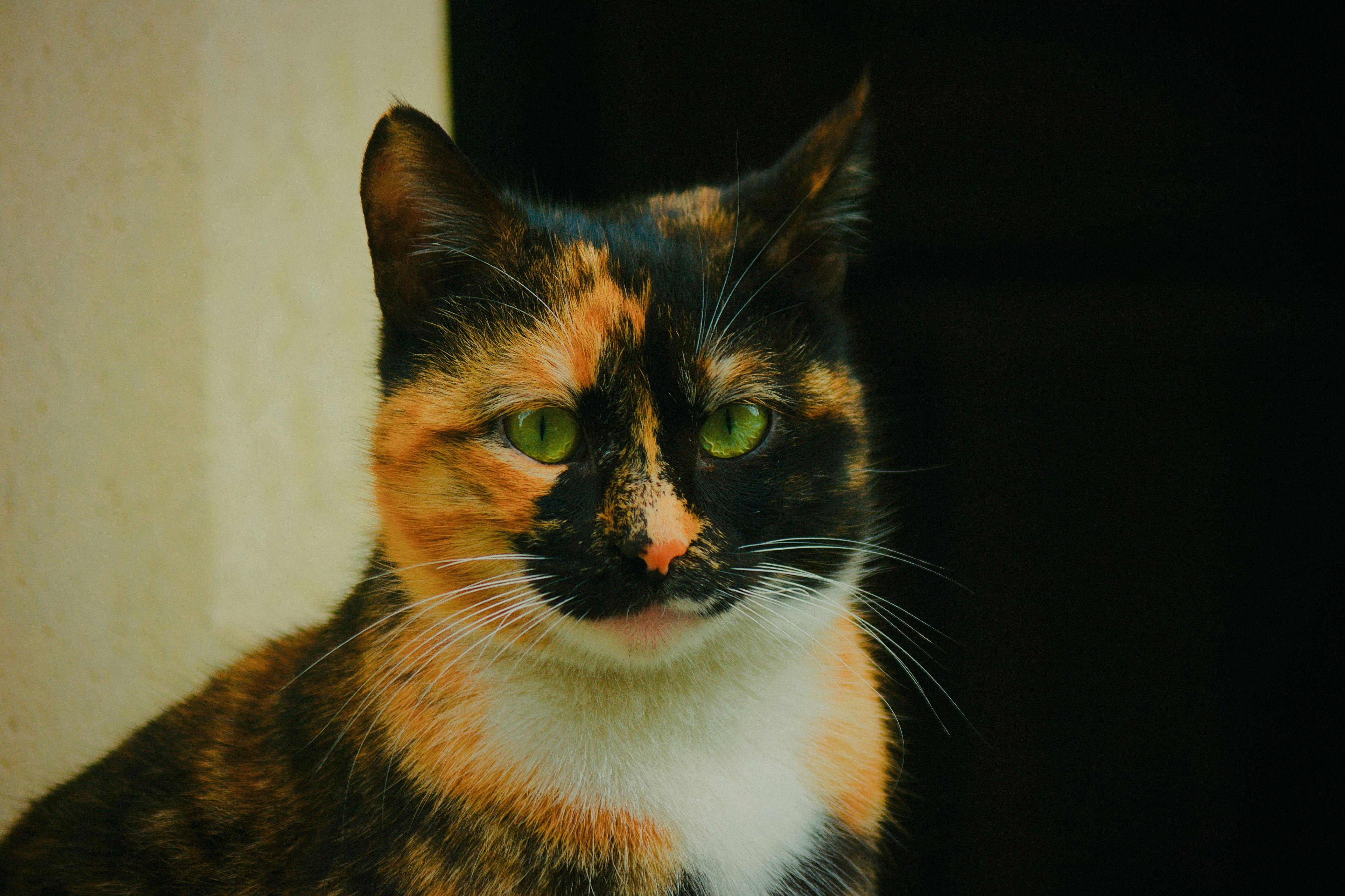 Safety Considerations and When to Consult a Physician