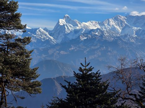 A stunning view of the snow-covered Himalayan mountains with pine trees in the foreground.