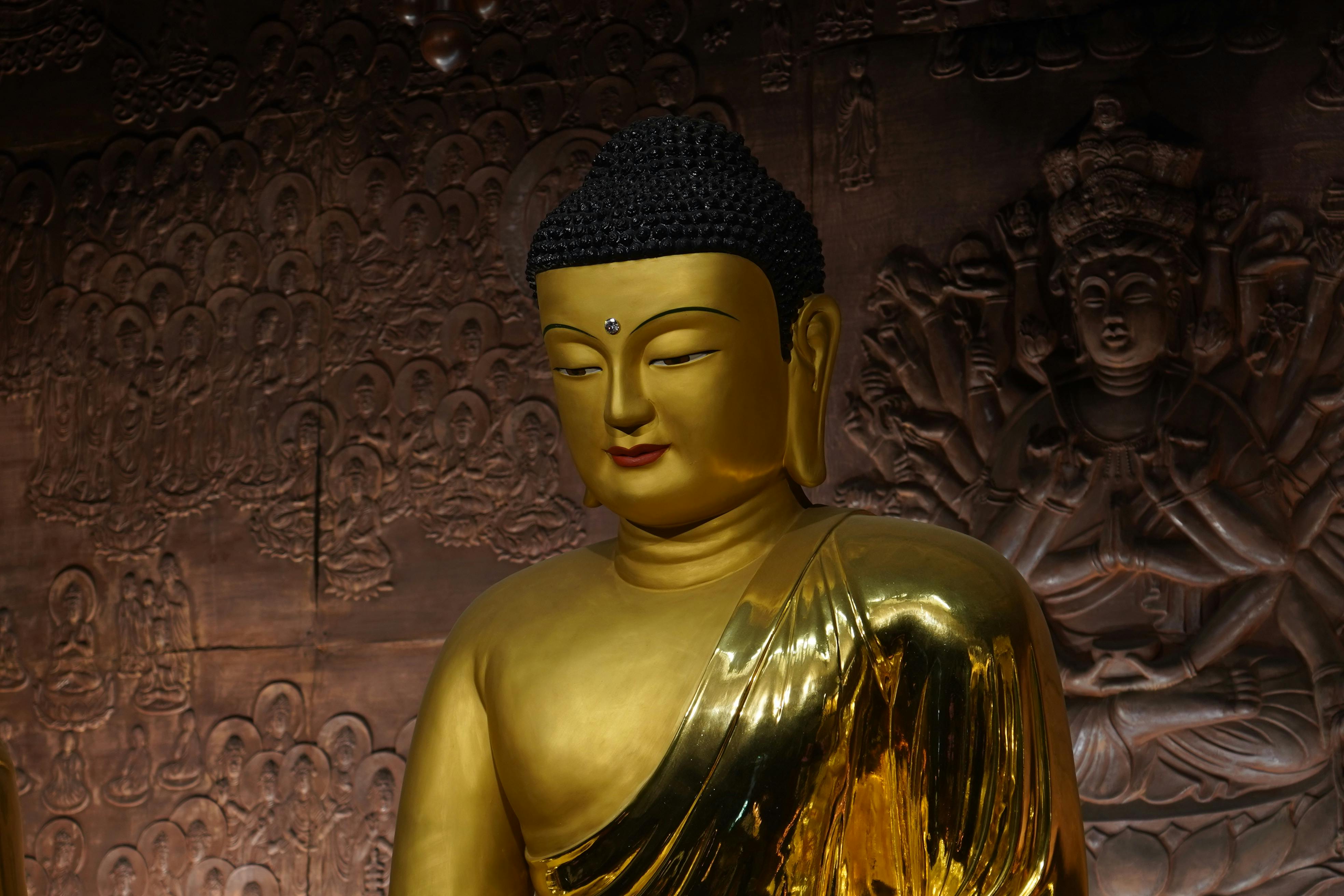 The Buddha, His Life And Teachings Piyadassi Thera