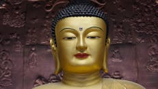 Golden Buddha Statue in Seoul Temple