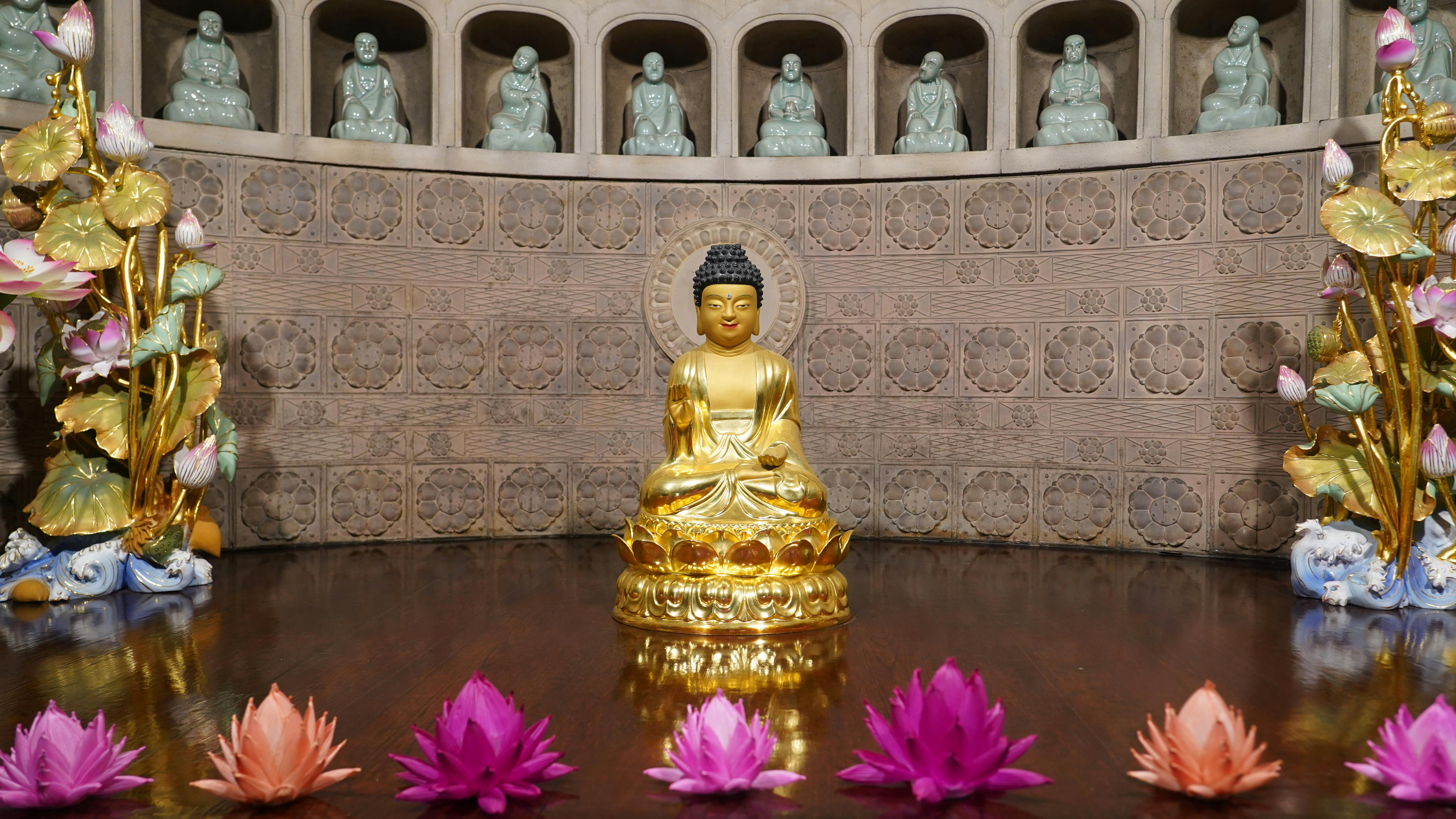 4월, 꽃길만 걷자! 전국 벚꽃·힐링 명소 TOP 7 완벽 가이드