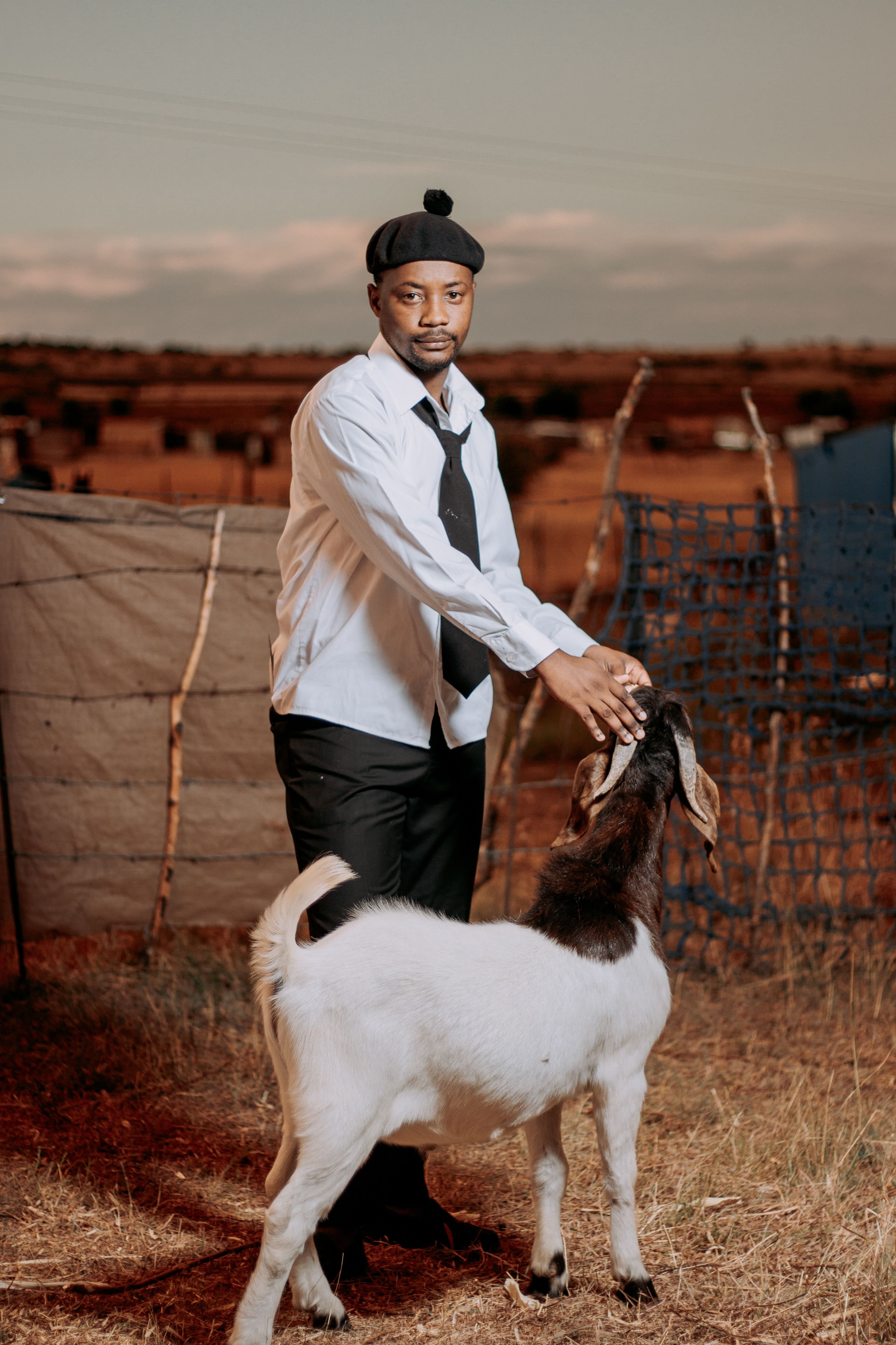 A man petting a goat in an outdoor farm setting at sunset, showcasing rural life.