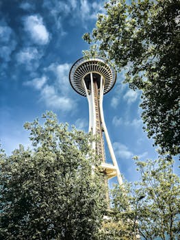 西雅图标志性的太空针塔映衬在树木和蓝天之中