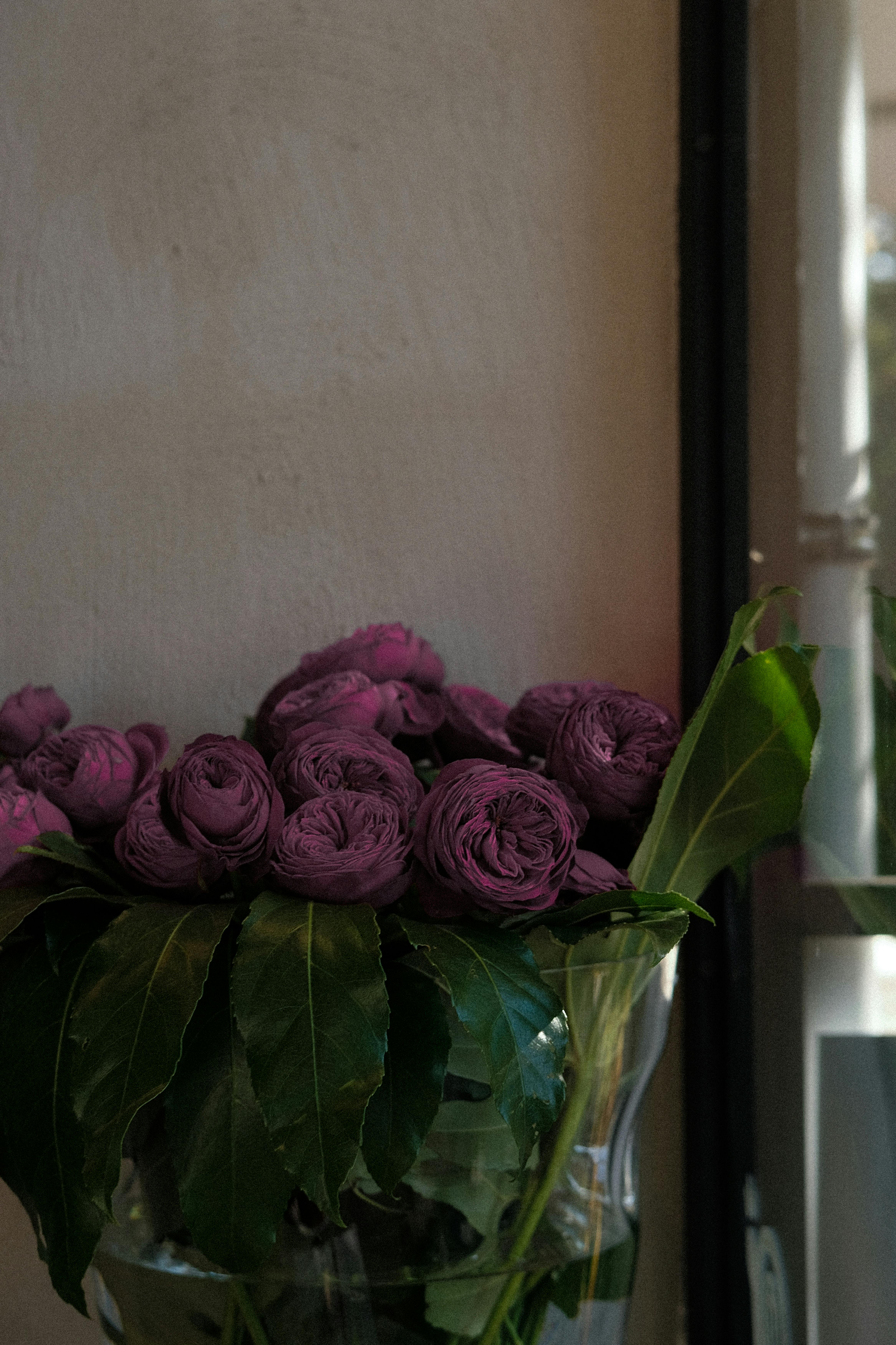 Безкоштовне стокове фото на тему «барвистий, ботанічний, букет» стокове фото