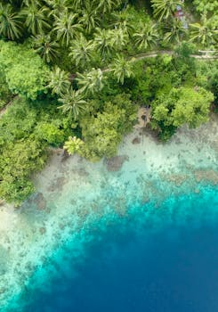 这张航拍照片令人惊叹，它捕捉到了郁郁葱葱的热带海滩、充满活力的碧绿海水和茂盛的绿色植物