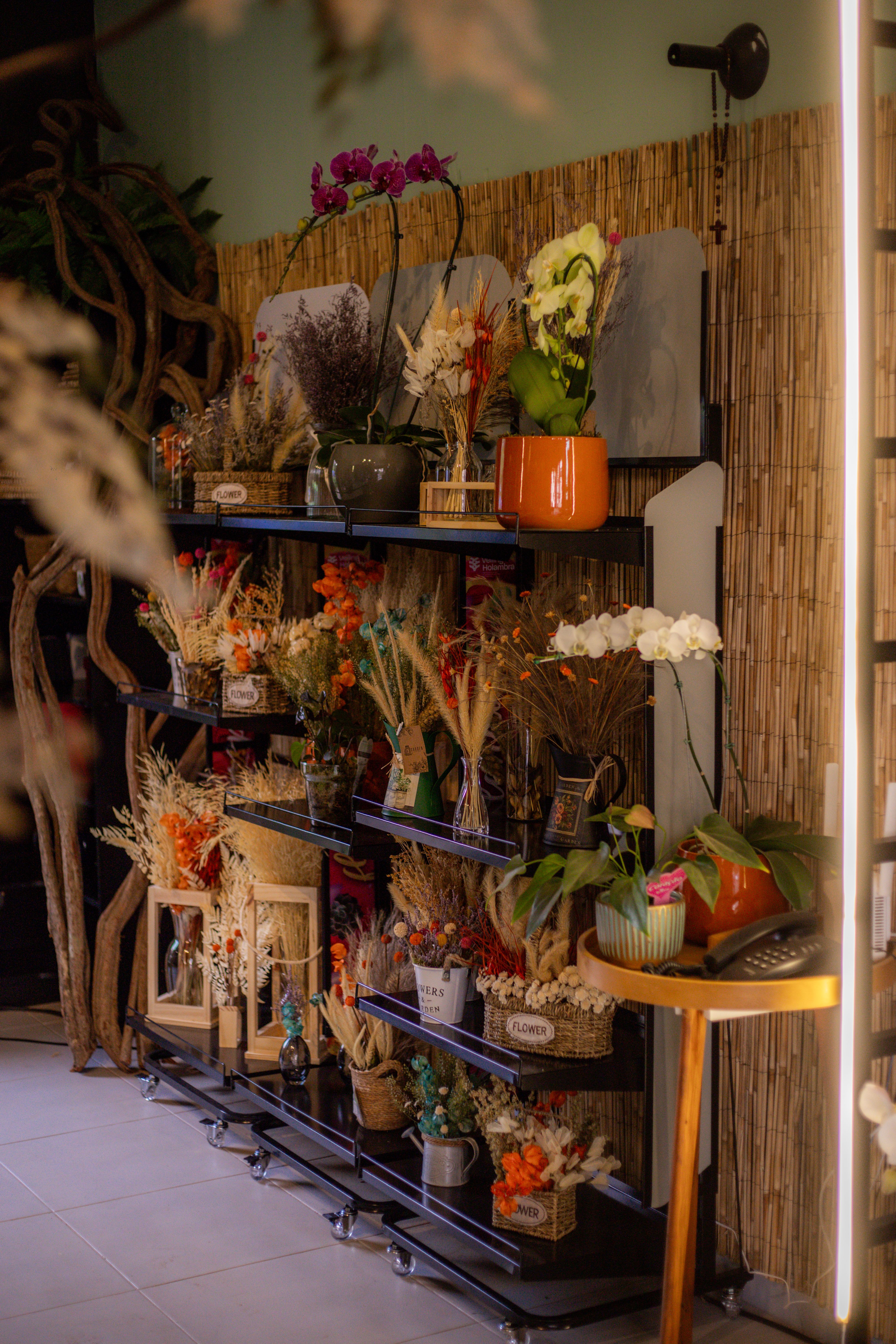 Colorful floral arrangements on shelves create a cozy atmosphere in a modern shop setting.