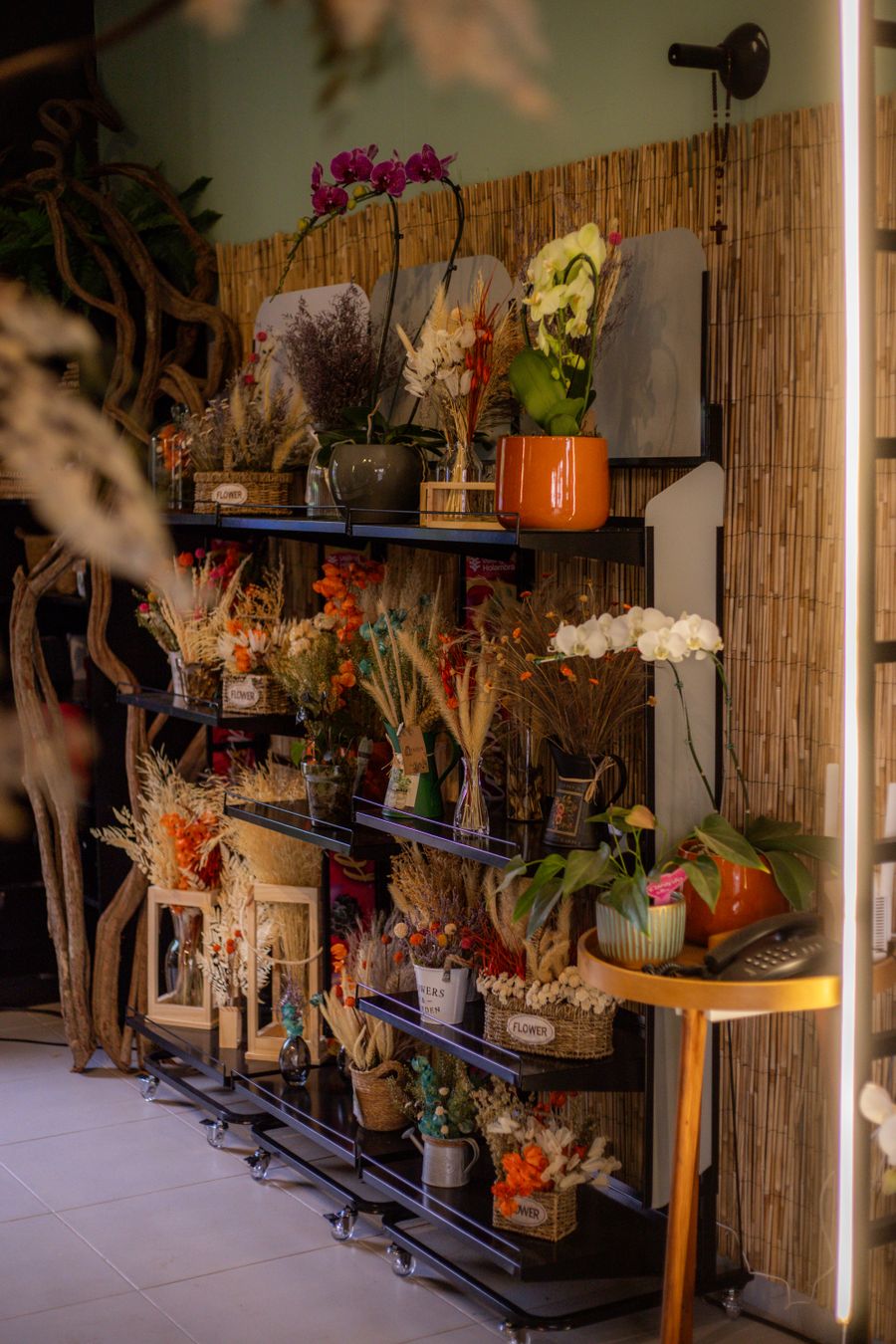 Shelves of dried flowers and potted plants in a small flower shop, photo by Guto Macedo on Pexels