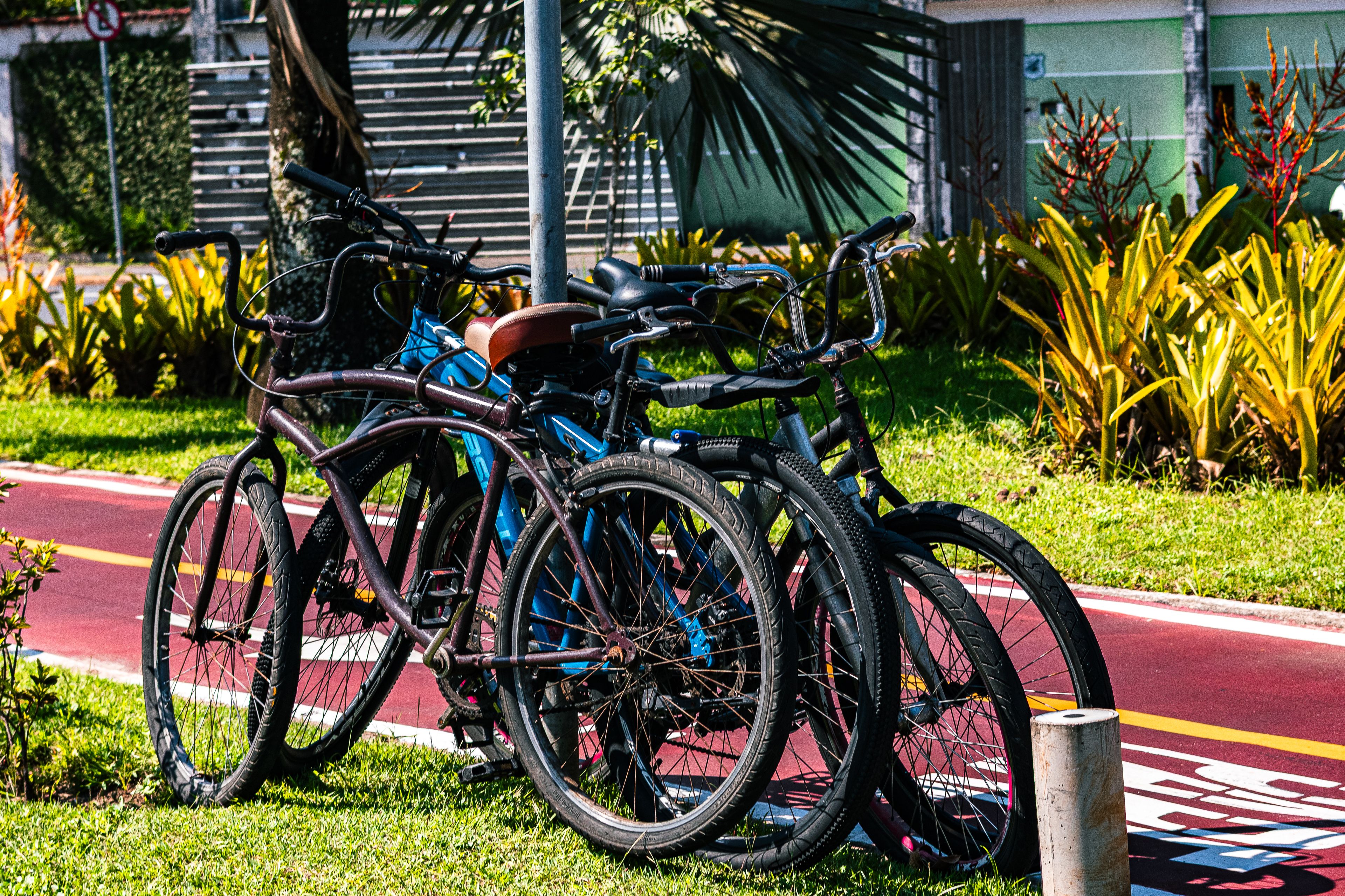 Foto: Juan Pablo Daniel / Pexels
