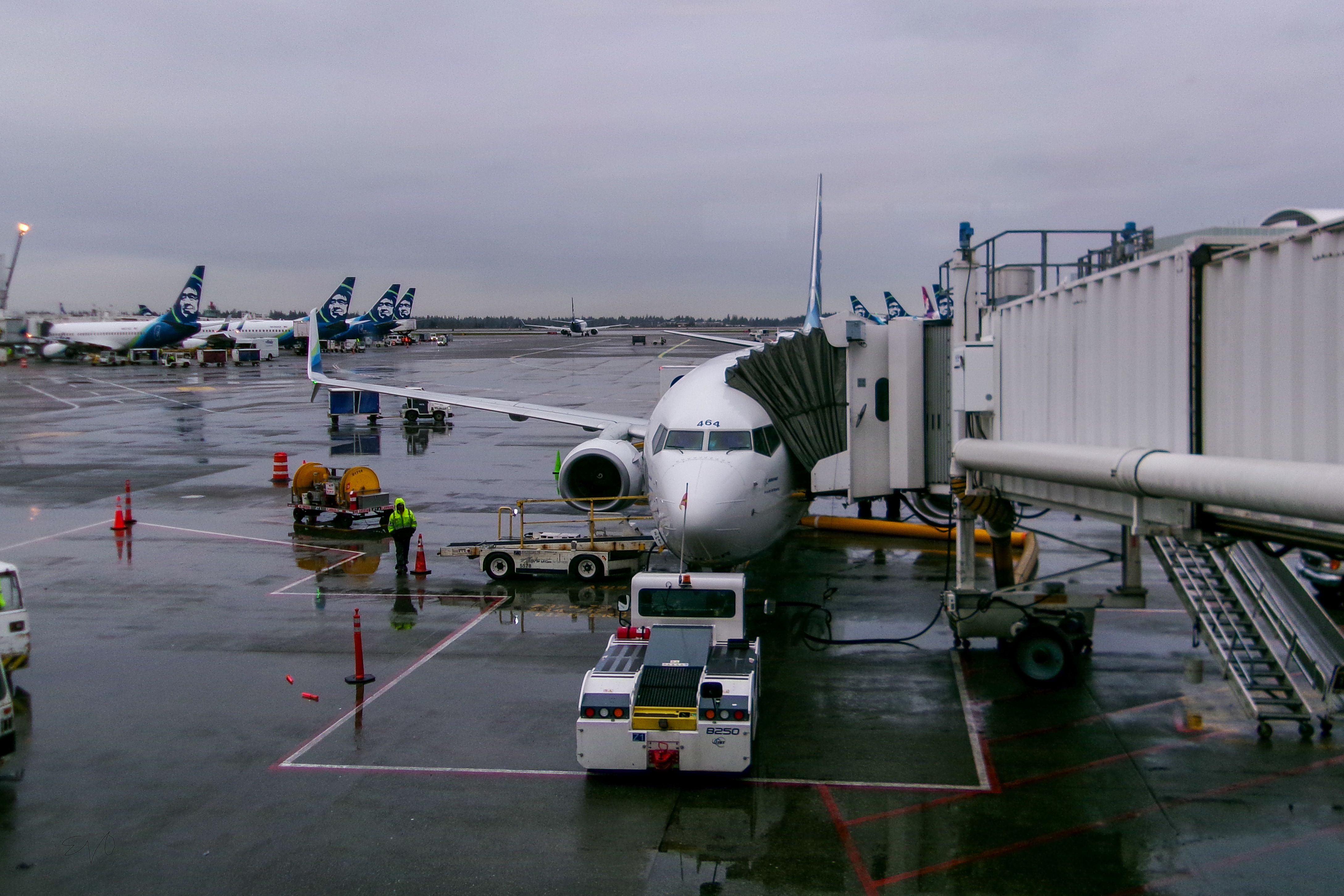 6 Best Ways To Use 100,000 American Airlines Miles For Maximum Value — Photo by Eddie O. on Pexels