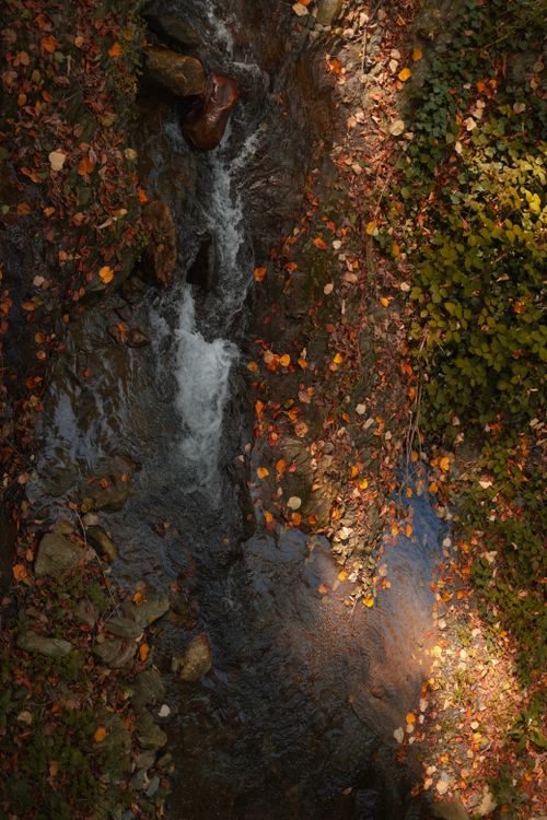 Free A beautiful waterfall cascades through an autumn forest adorned with colorful leaves. Stock Photo