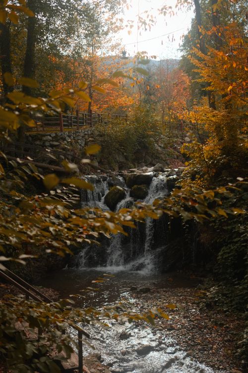 Free A peaceful waterfall surrounded by vibrant autumn foliage in a tranquil forest. Stock Photo