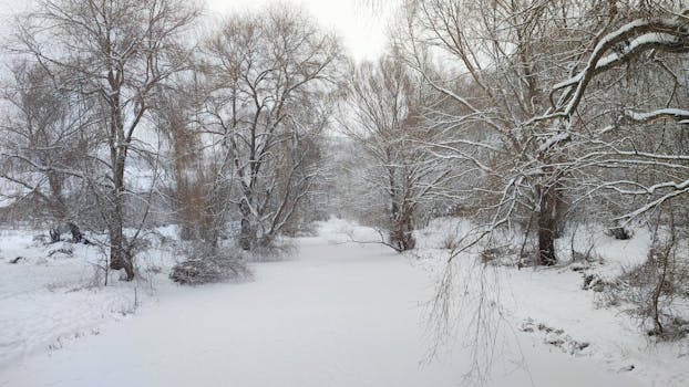 A tranquil snow-covered landscape with leafless trees during winter.