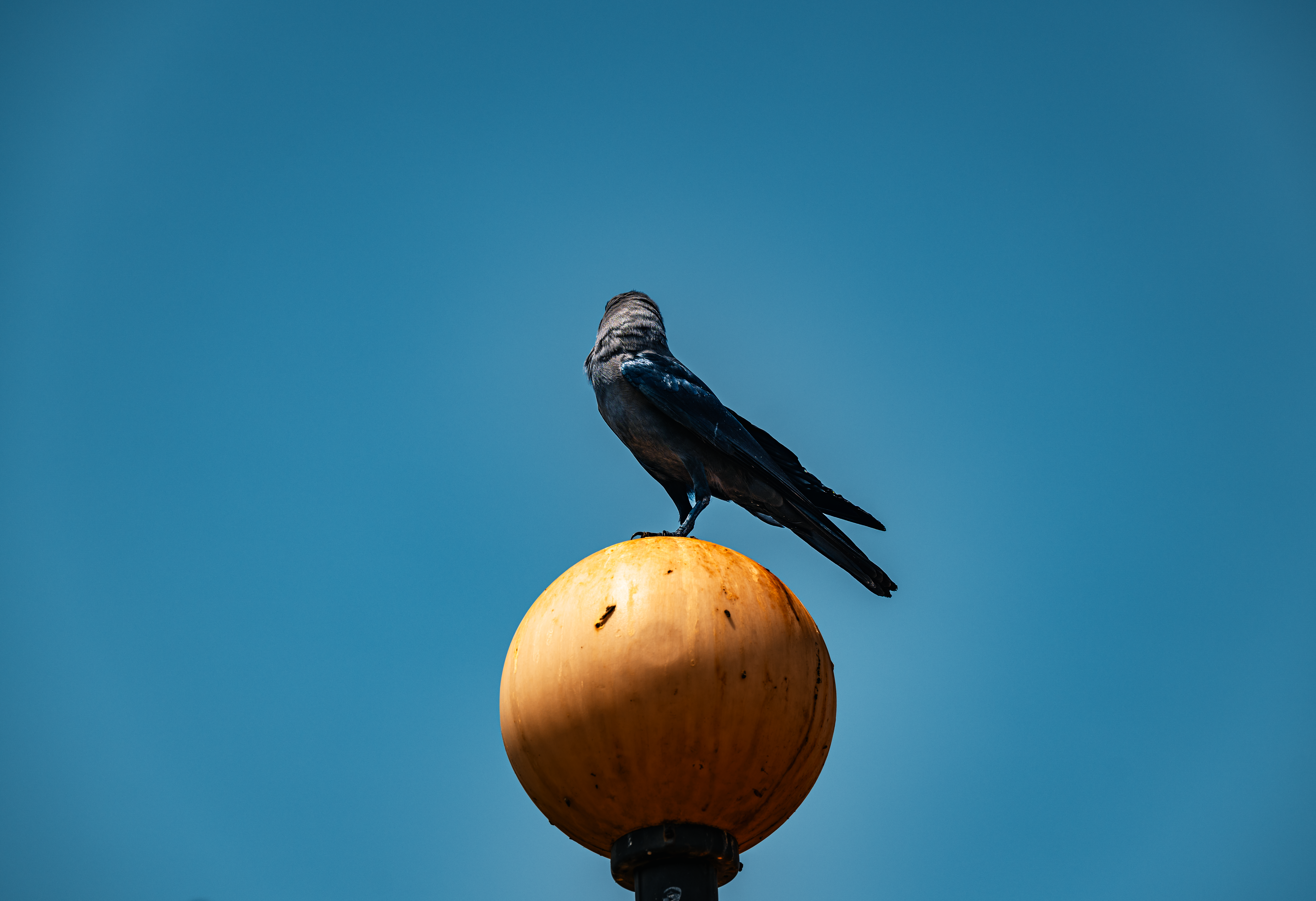 French & Ravens Five Bases Of Power Photos, Download The BEST Free ...