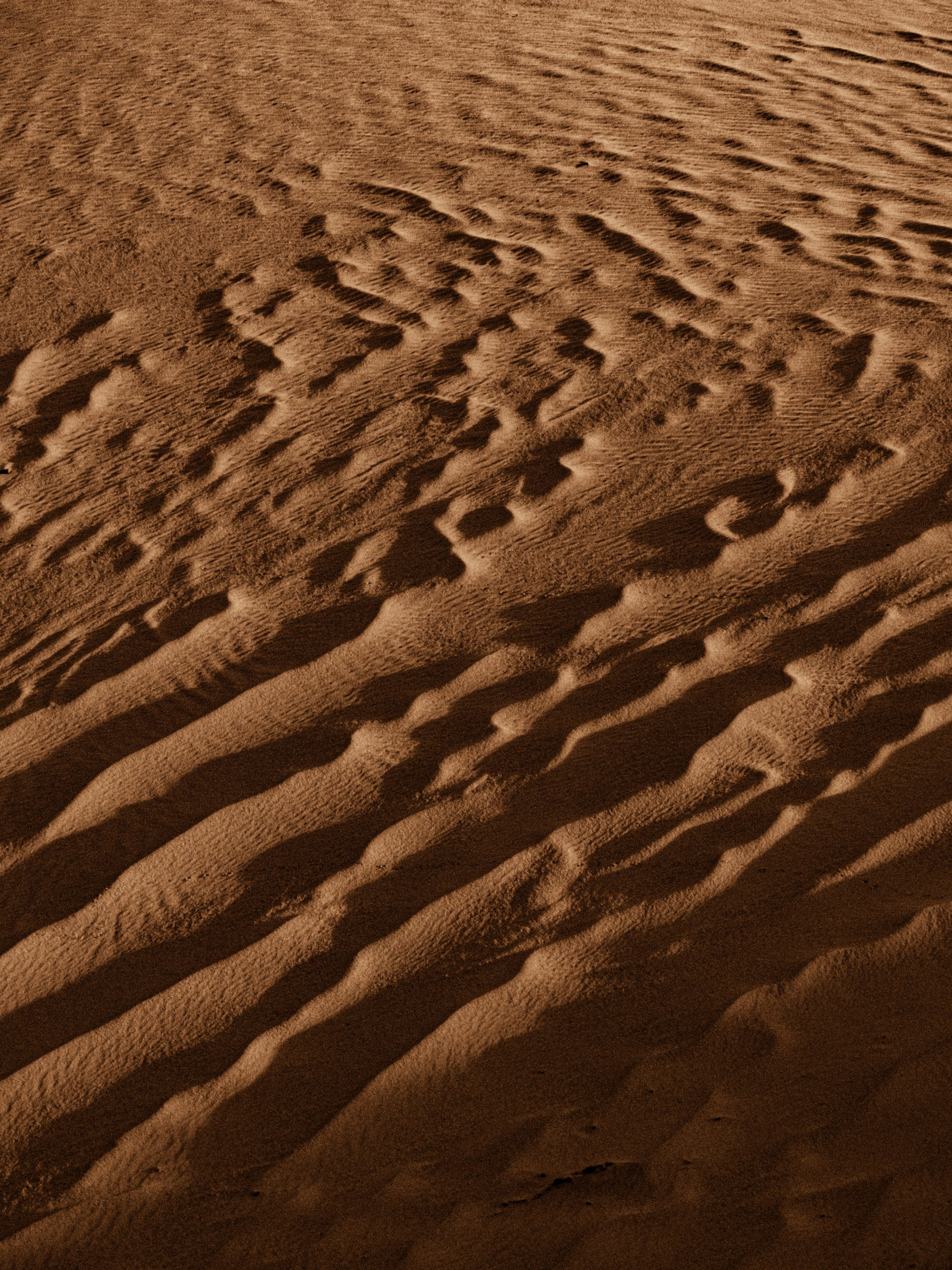 grátis Fotografia das dunas de areia do Saara, na Argélia, mostrando as texturas e contrastes naturais. Foto profissional