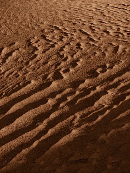 Free Capture of Saharan sand dunes in Algeria showcasing natural textures and contrasts. Stock Photo