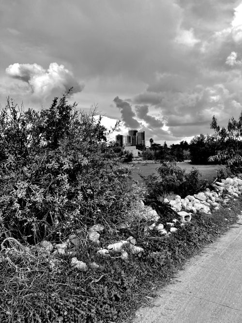 Free stock photo of black and white, city, contrast Stock Photo