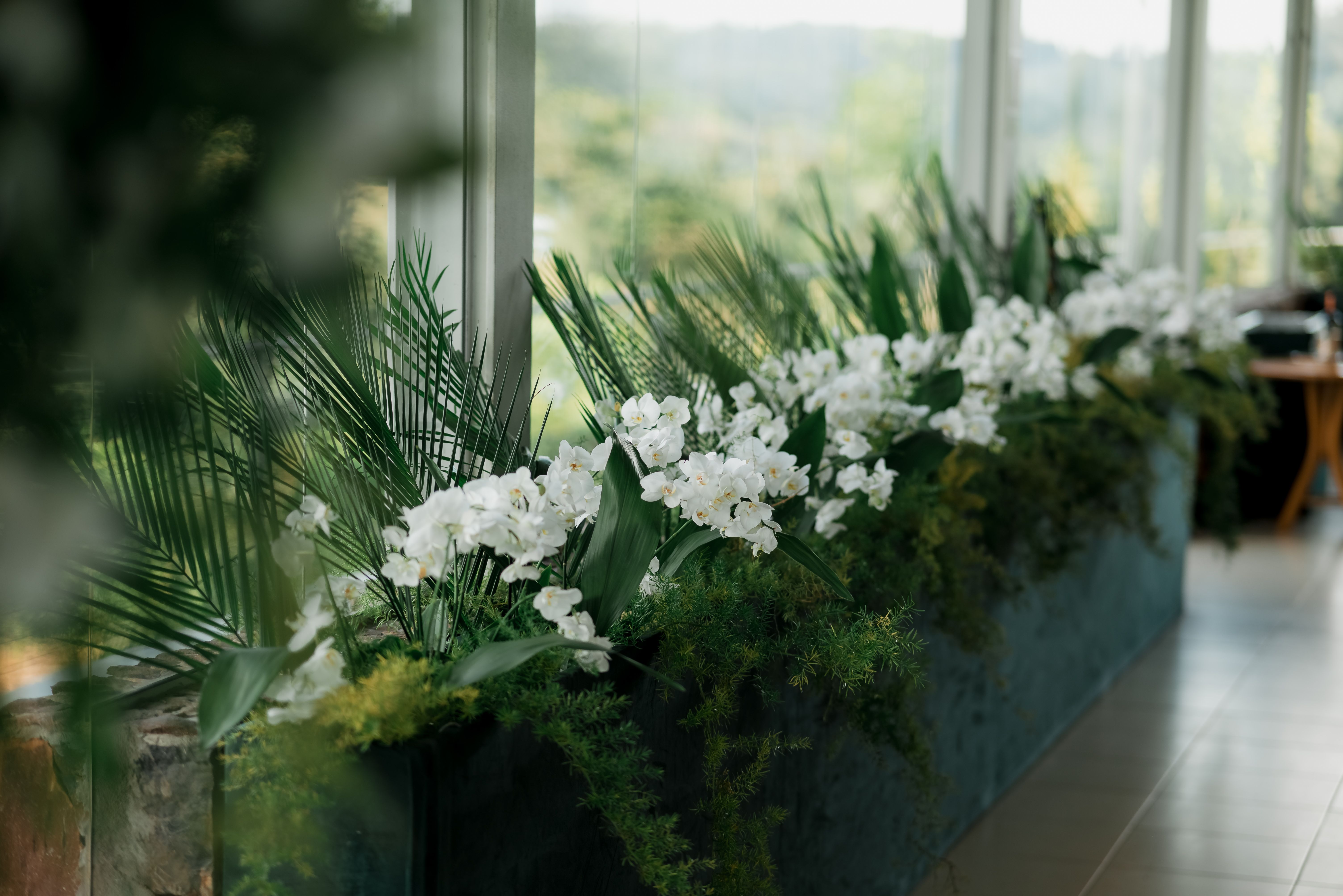 Elegant Indoor Floral Arrangement with White Orchids · Free Stock Photo