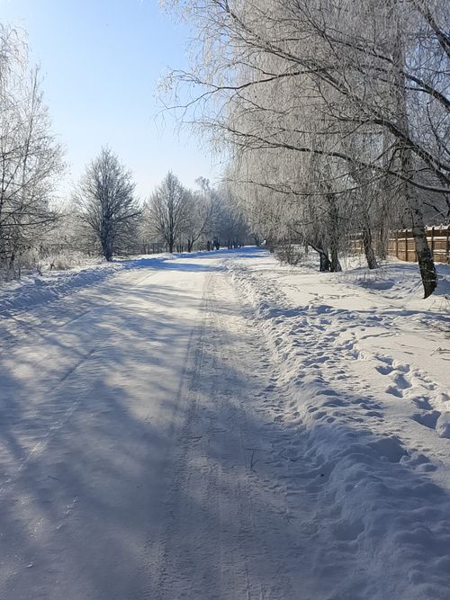 Free Serene winter scene with a snowy road lined by frosted trees, evoking tranquility and calm. Stock Photo