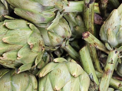 Free Close-up of fresh artichokes at a market in Marrakech, showcasing vibrant greens. Stock Photo