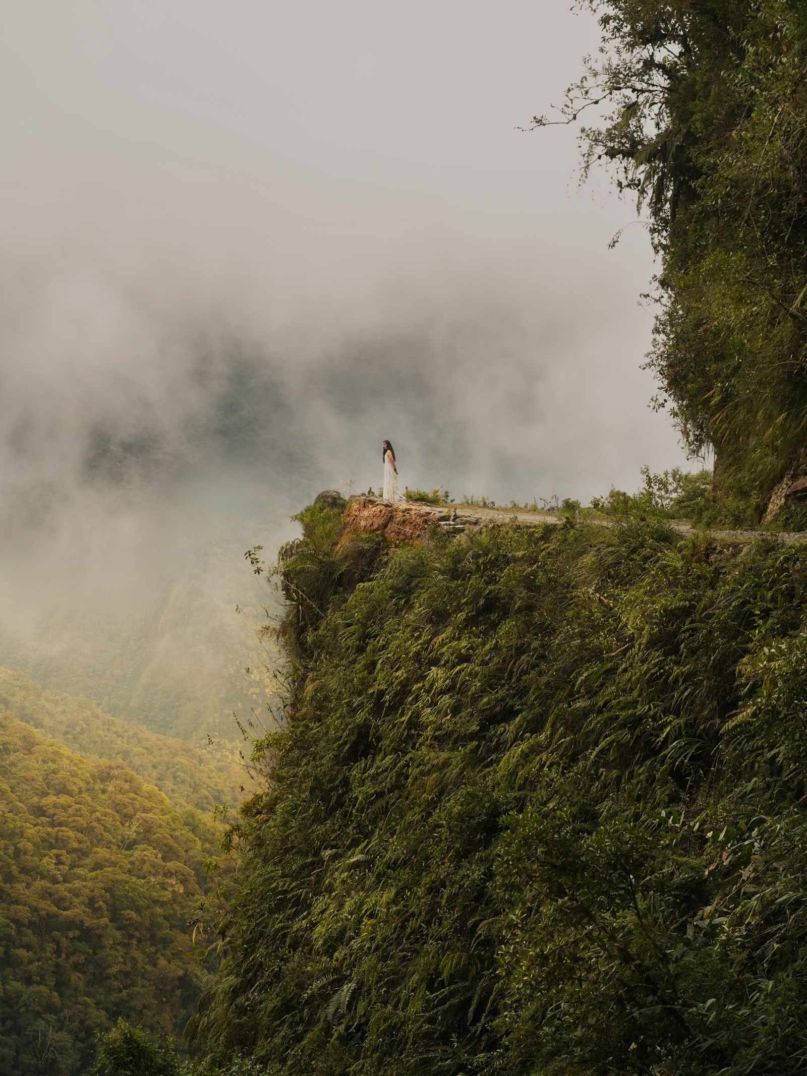 Yungas cloud forest Bolivia
