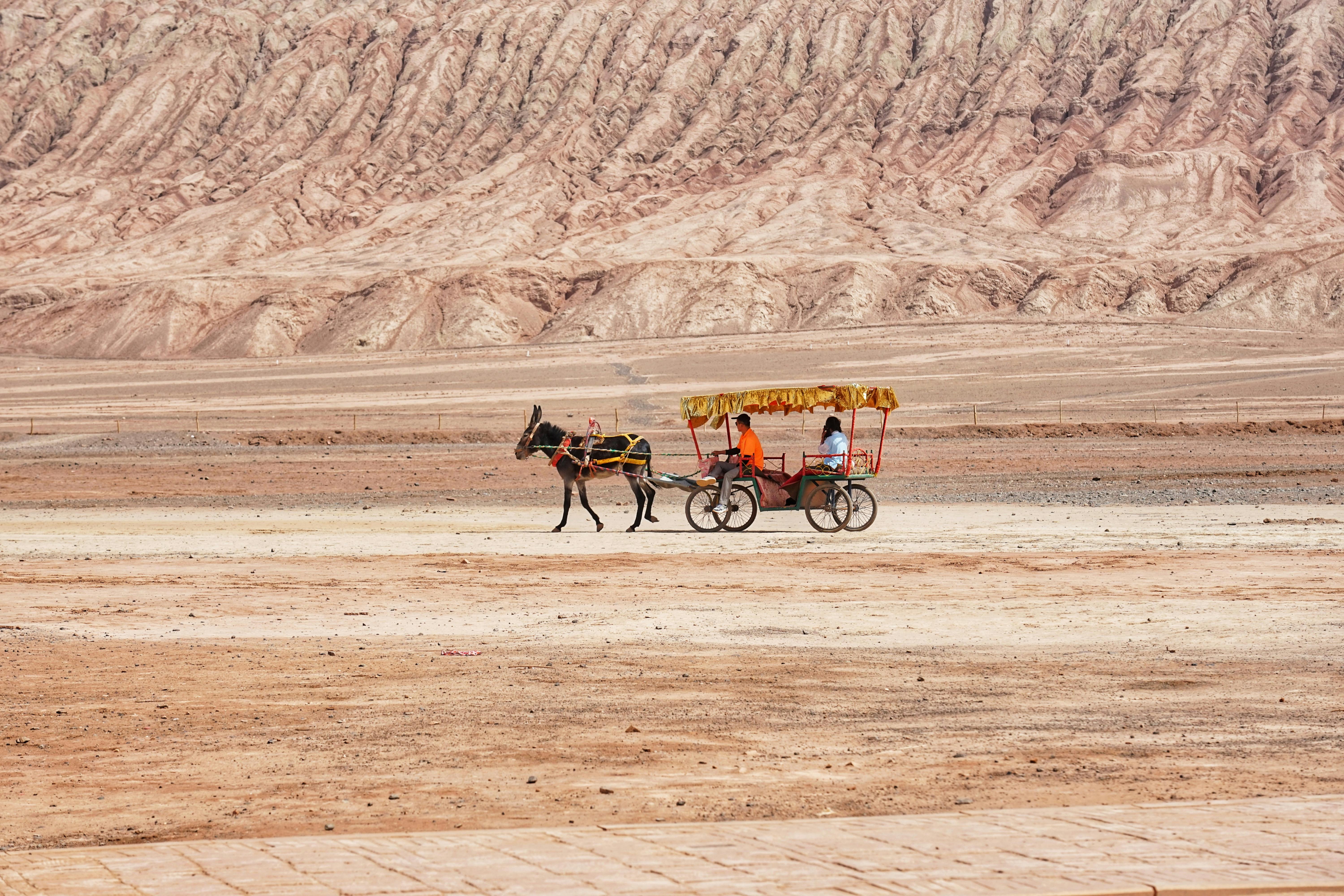 Gratis Un vibrante carro tirado por caballos viaja a través de un árido paisaje desértico, mostrando la belleza de la naturaleza. Foto de stock