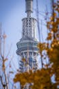 Tokyo Skytree Tower with Autumn Foliage