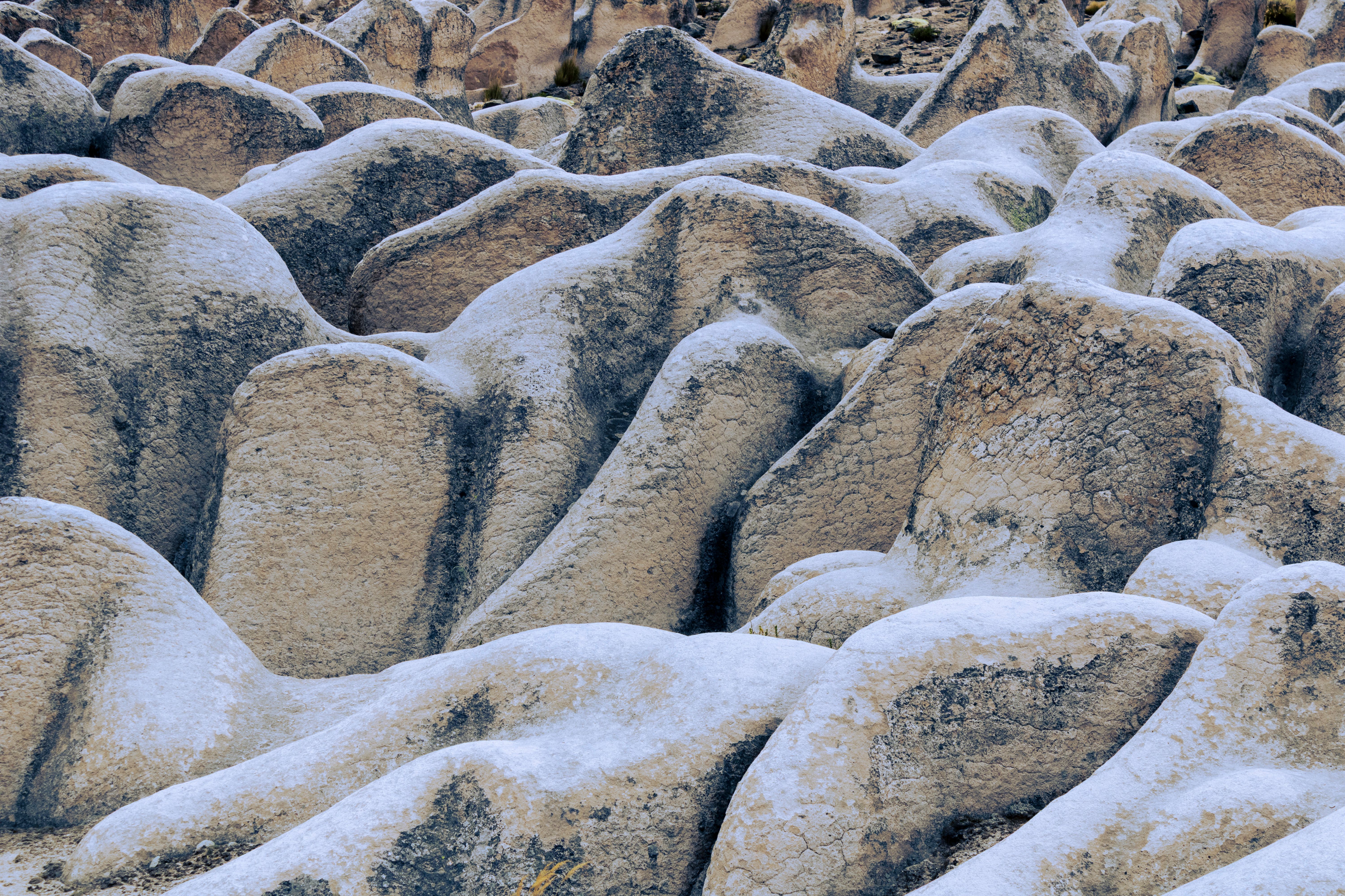 Texture Landscape Photos, Download The BEST Free Texture Landscape ...