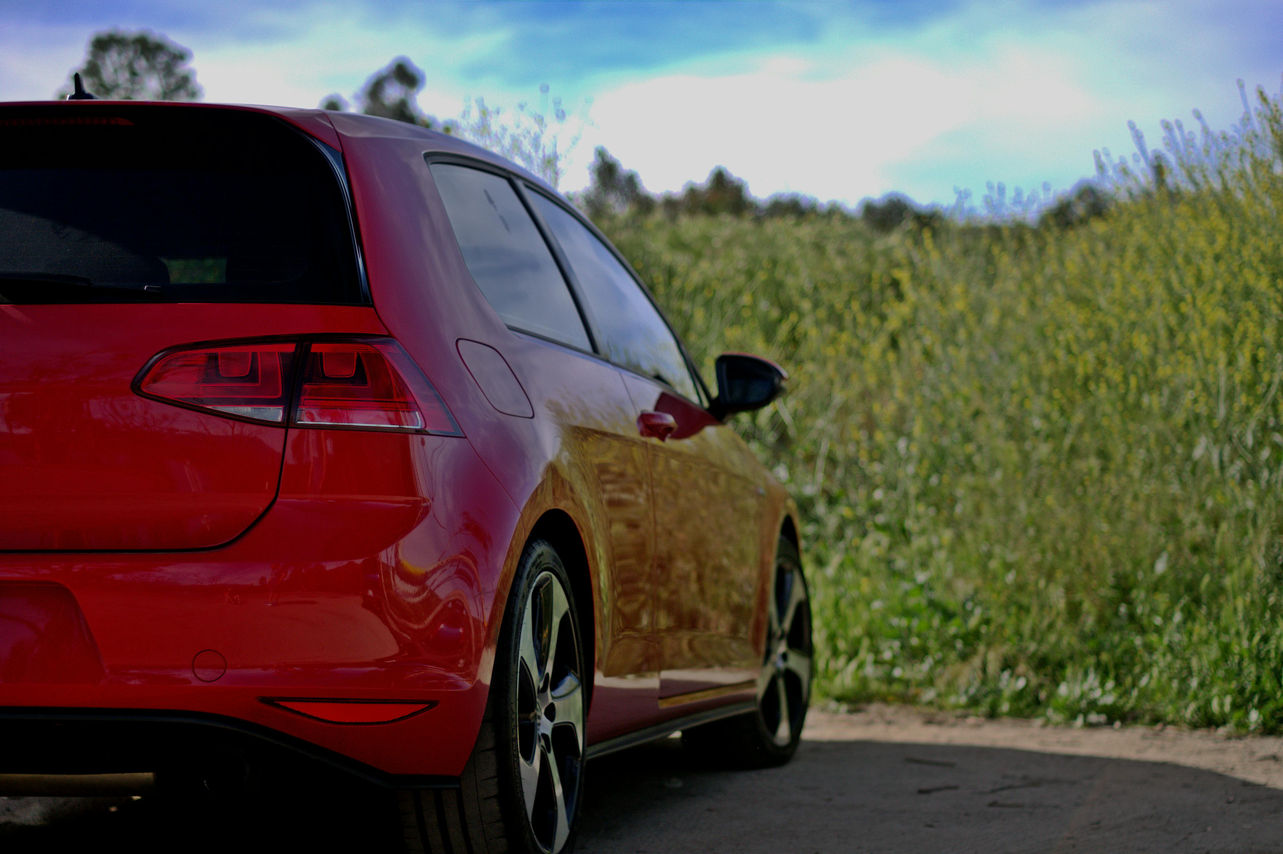 Free stock photo of car, car porn, gti