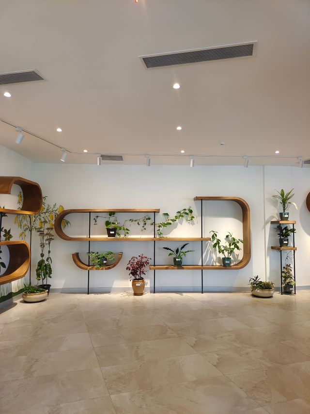 Curved shelves displaying plants