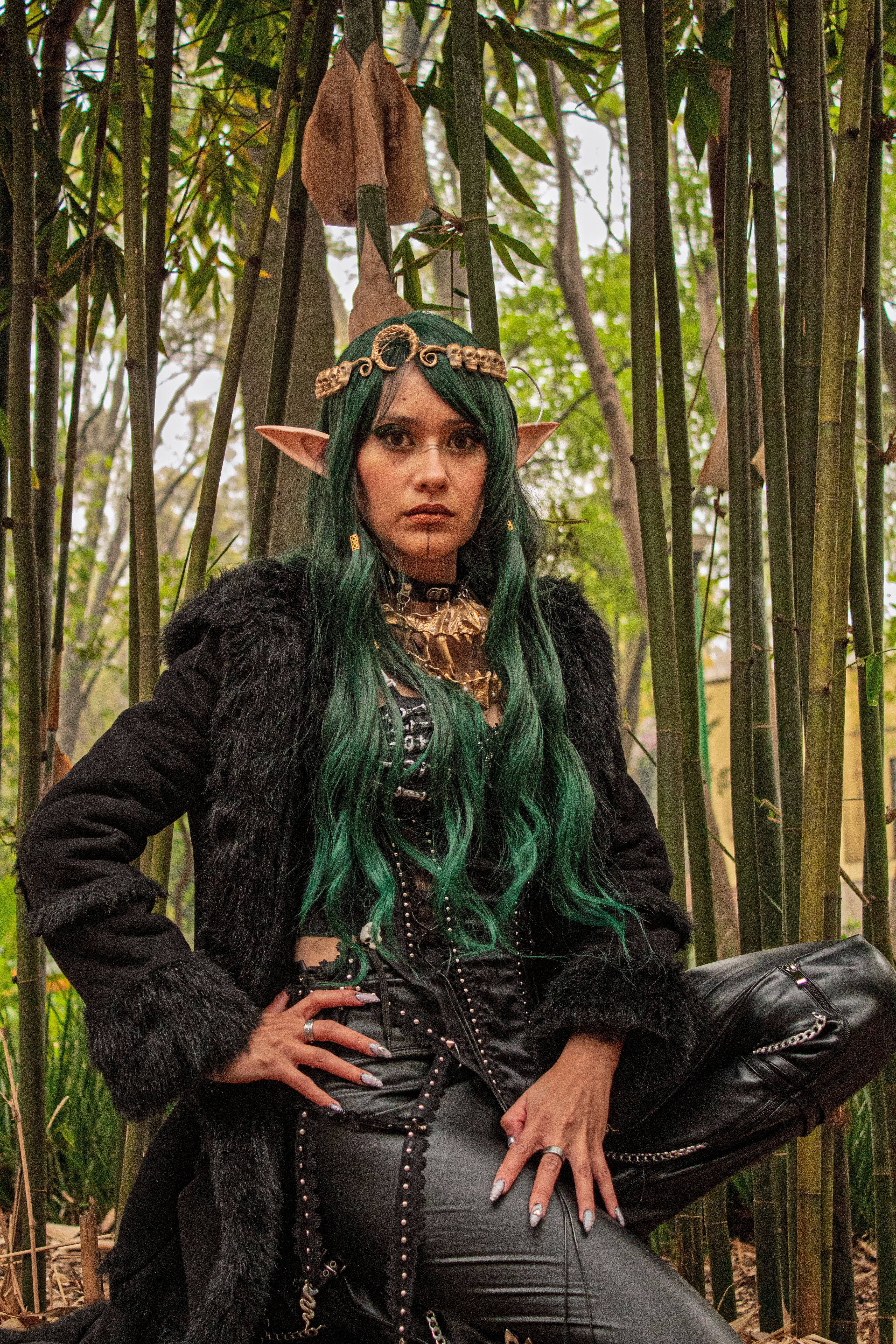 A mystical fantasy portrait of a woman with elven ears in a bamboo forest.