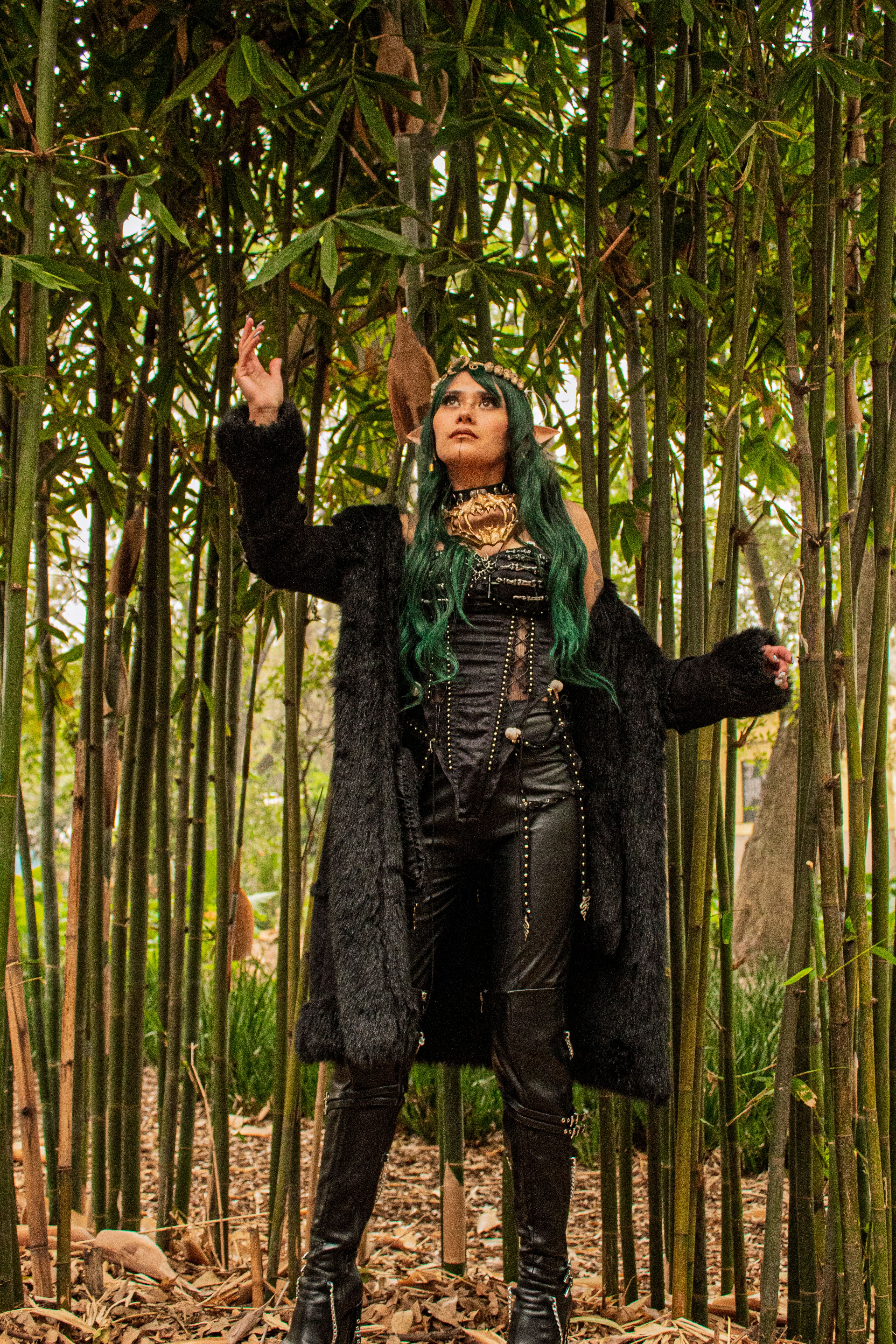 Fantasy-inspired portrait of a woman in black attire surrounded by bamboo.