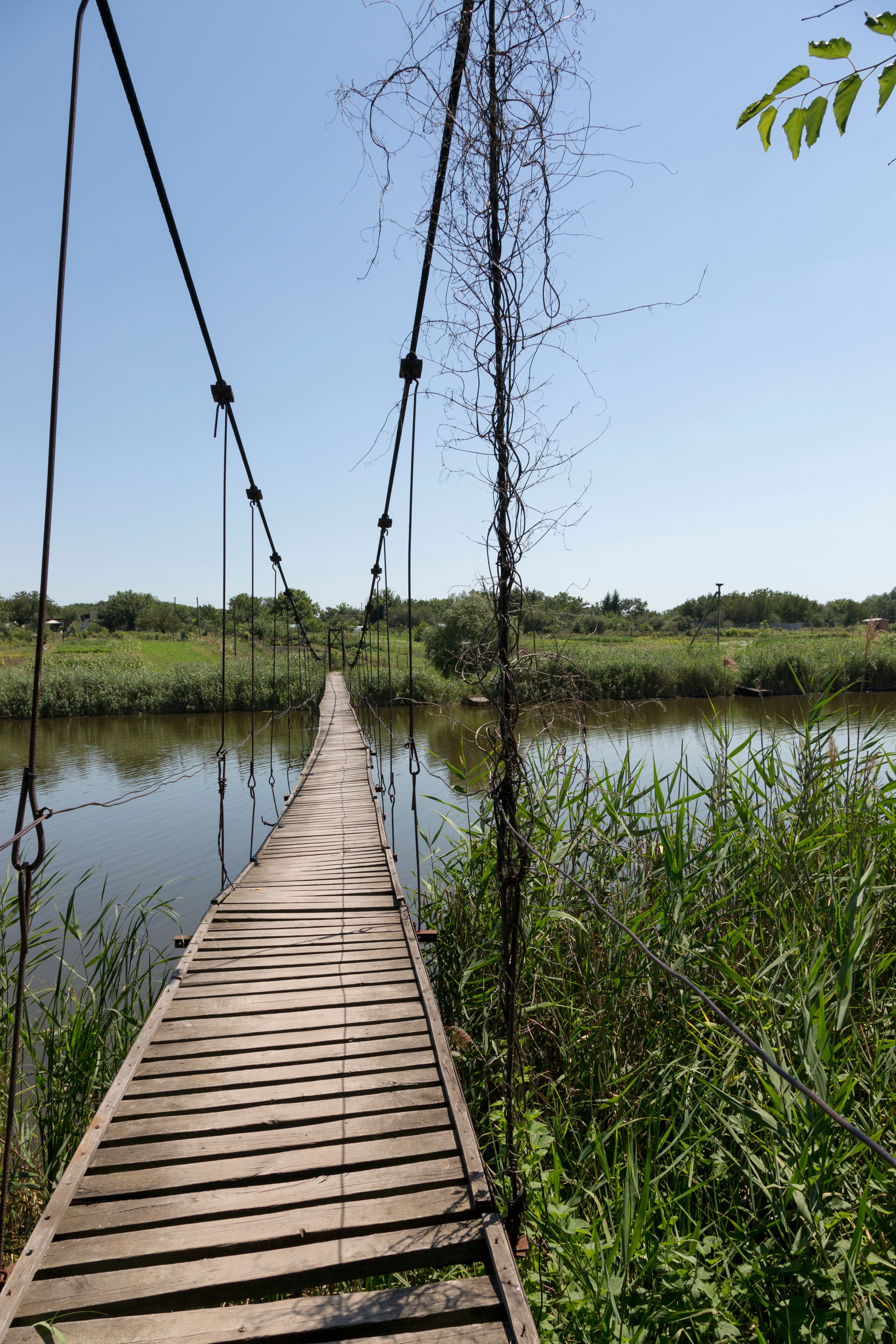 Rustic Wooden Suspension Bridge Over River · Free Stock Photo