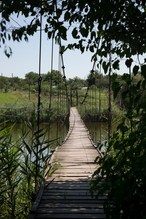 Free A scenic wooden suspension bridge surrounded by lush green foliage and clear skies. Stock Photo