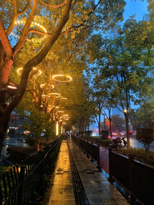 Free A scenic nighttime view of a street in Ningbo, China, with decorative lights and trees. Stock Photo