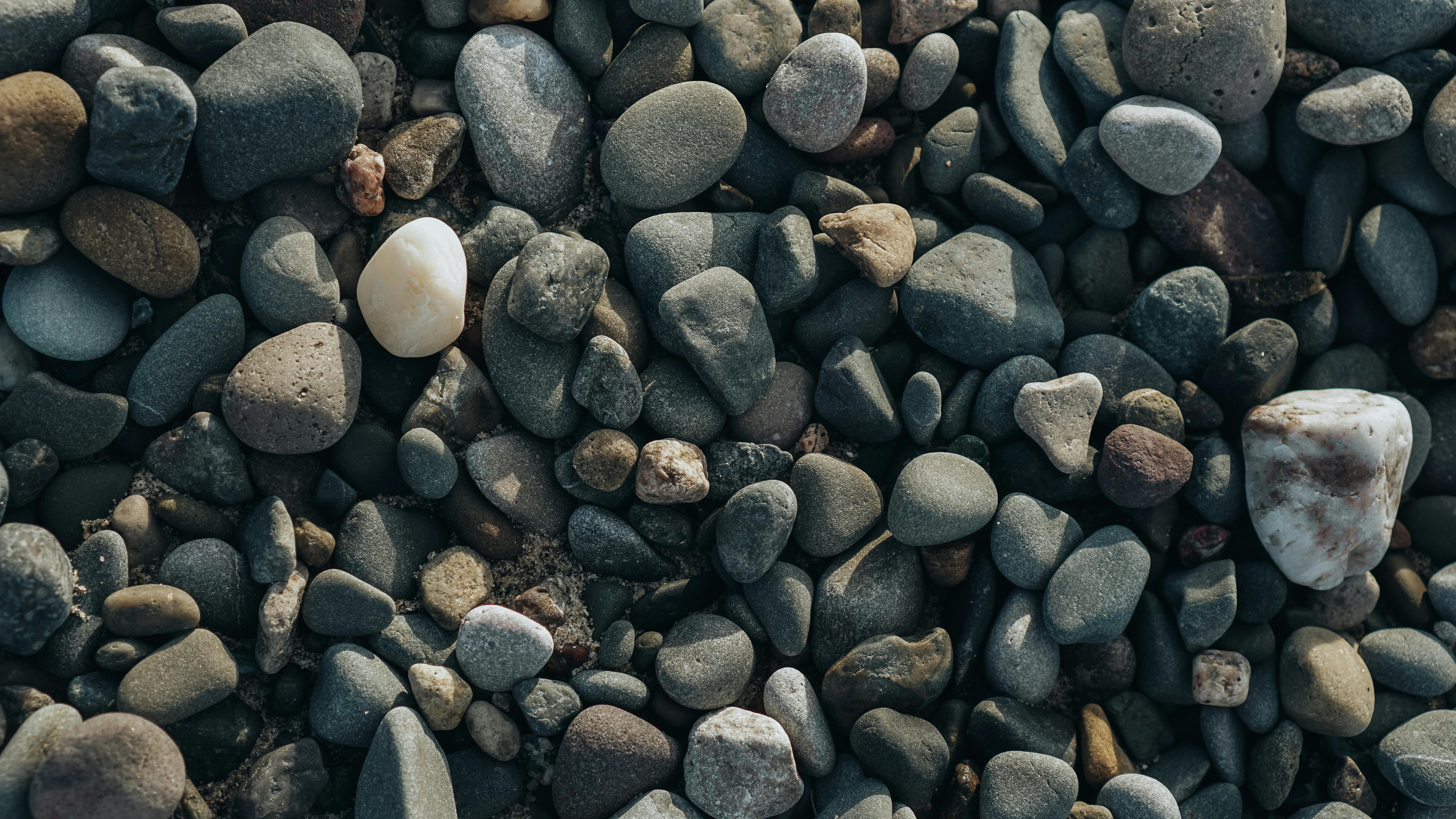 Gratis Explora los ricos detalles y la textura áspera de los guijarros del mar en este primer plano melancólico de una playa. Foto de stock