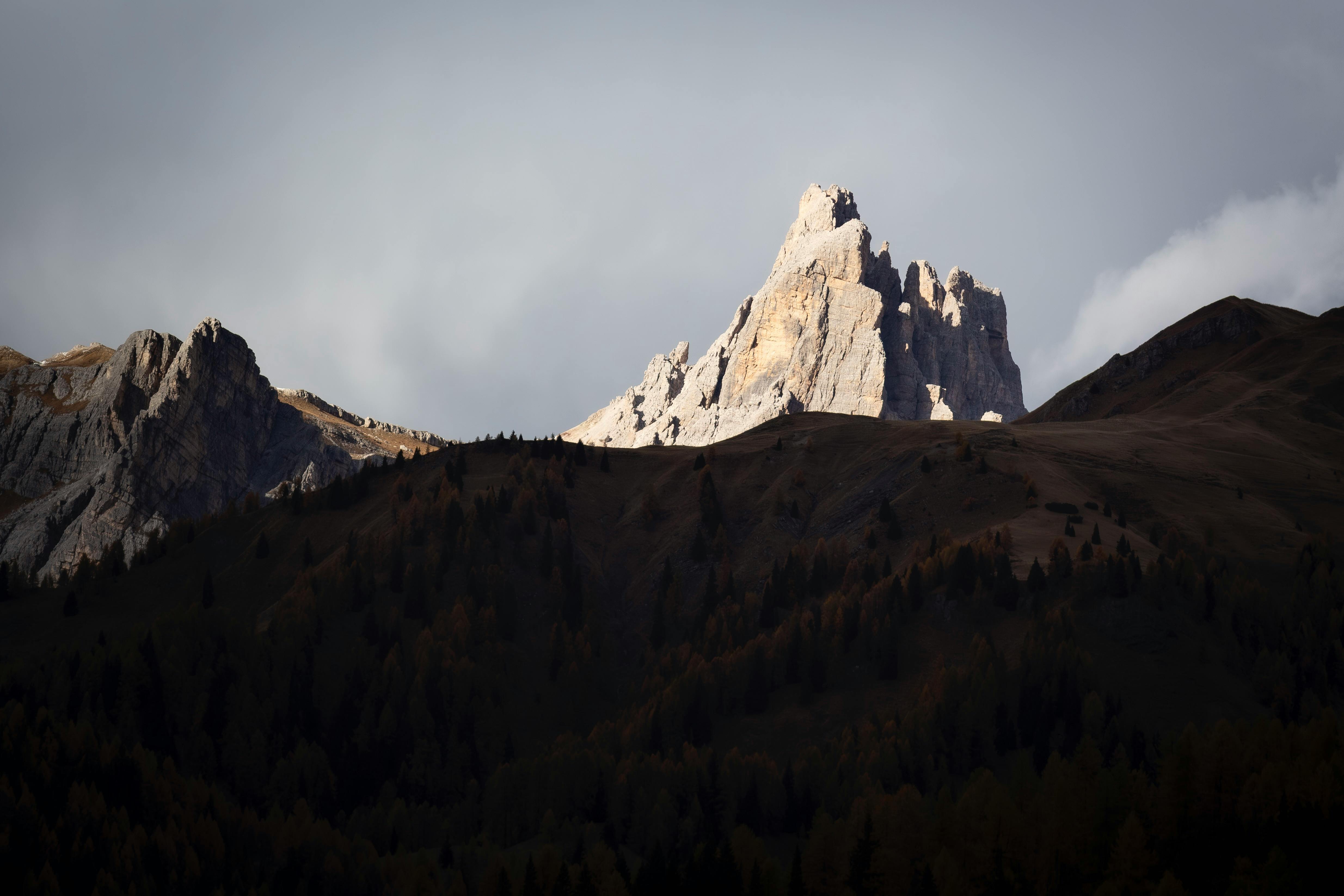 Vertiseit (Q1 Review): Look beyond volatile non-SaaS revenue — Photo by Gabriele Battimelli on Pexels
