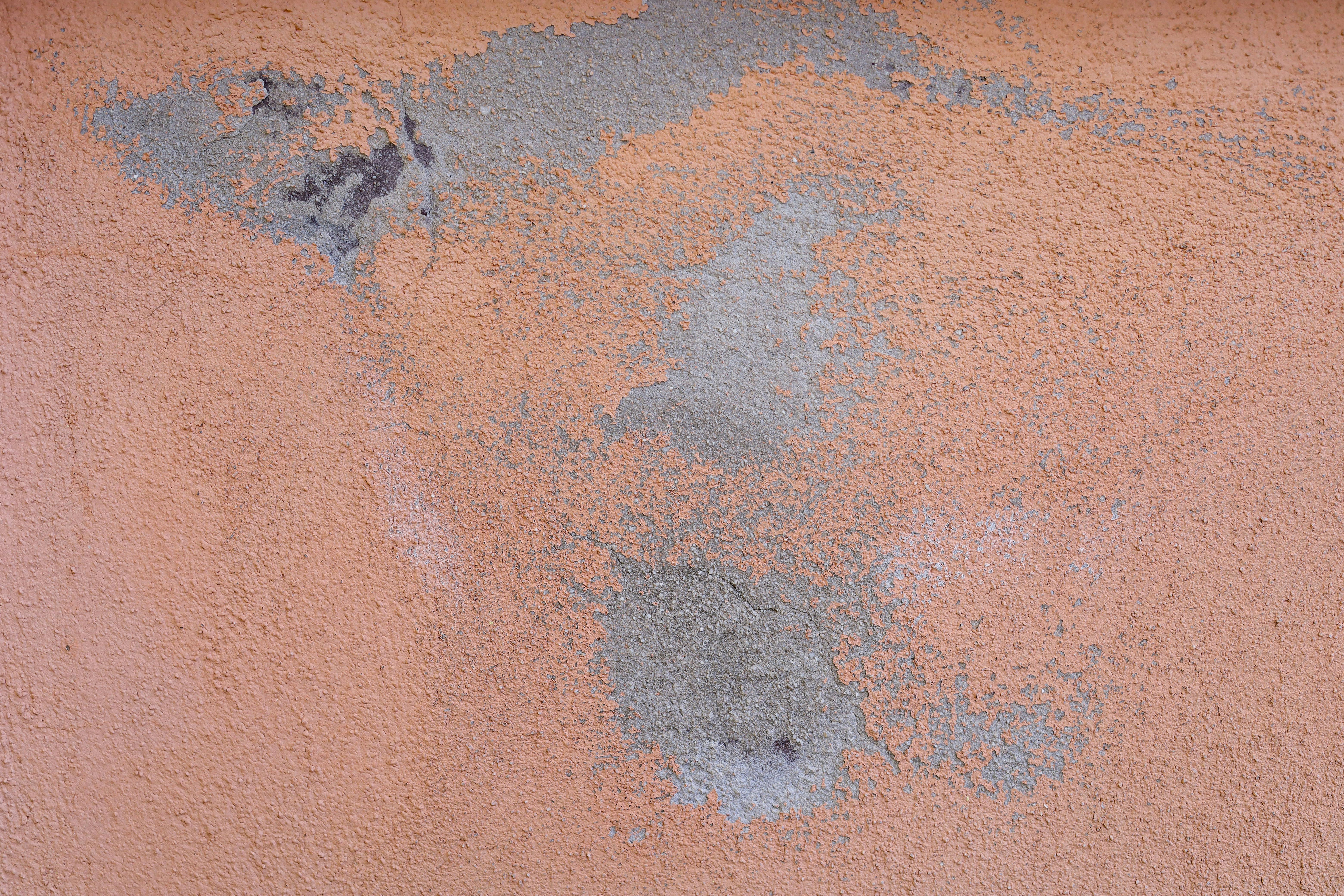 What to Do When Water Damage Affects a Shared Wall