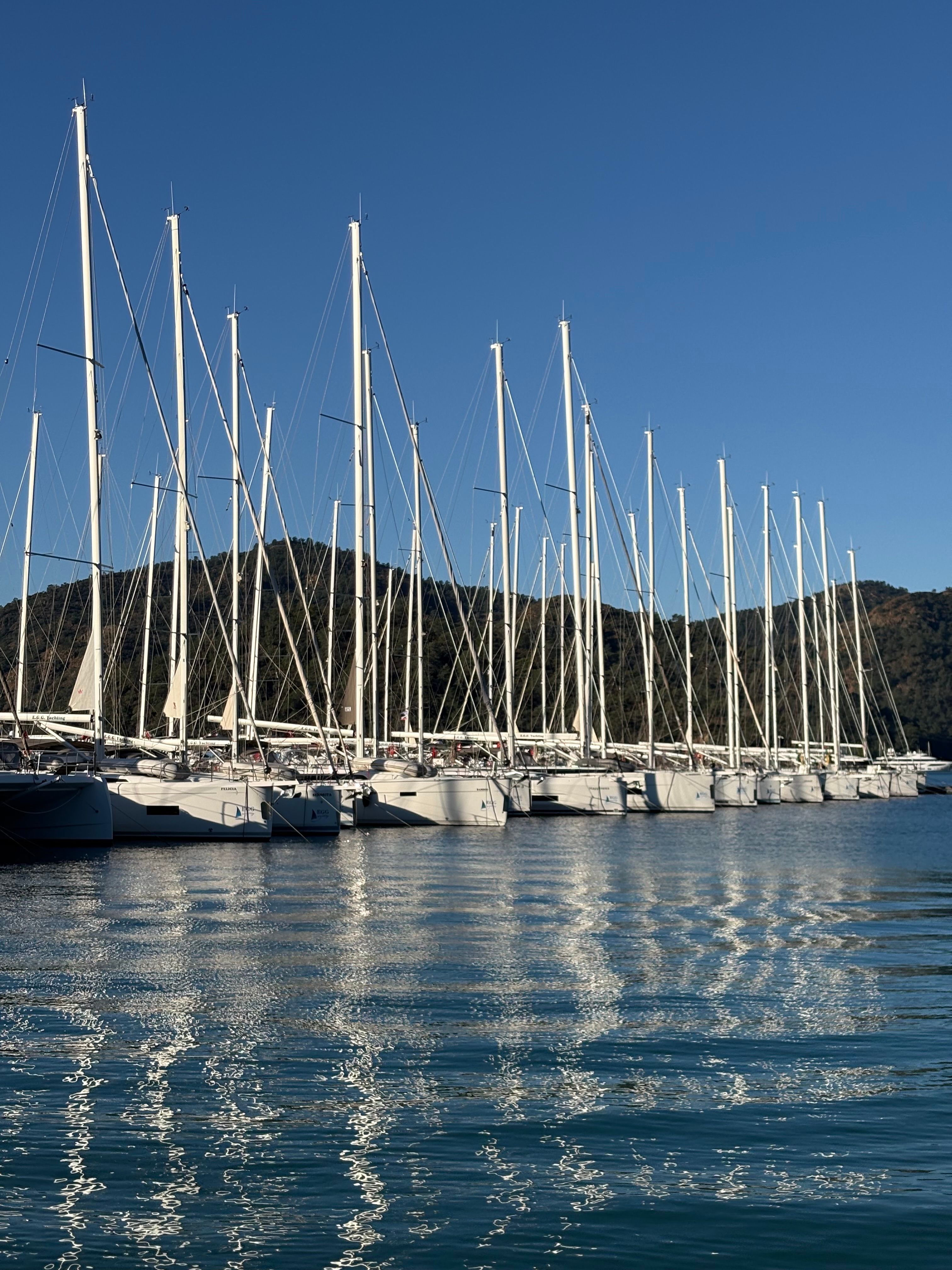 A row of sailboats docked at a marina under clear blue skies, reflecting on the water.