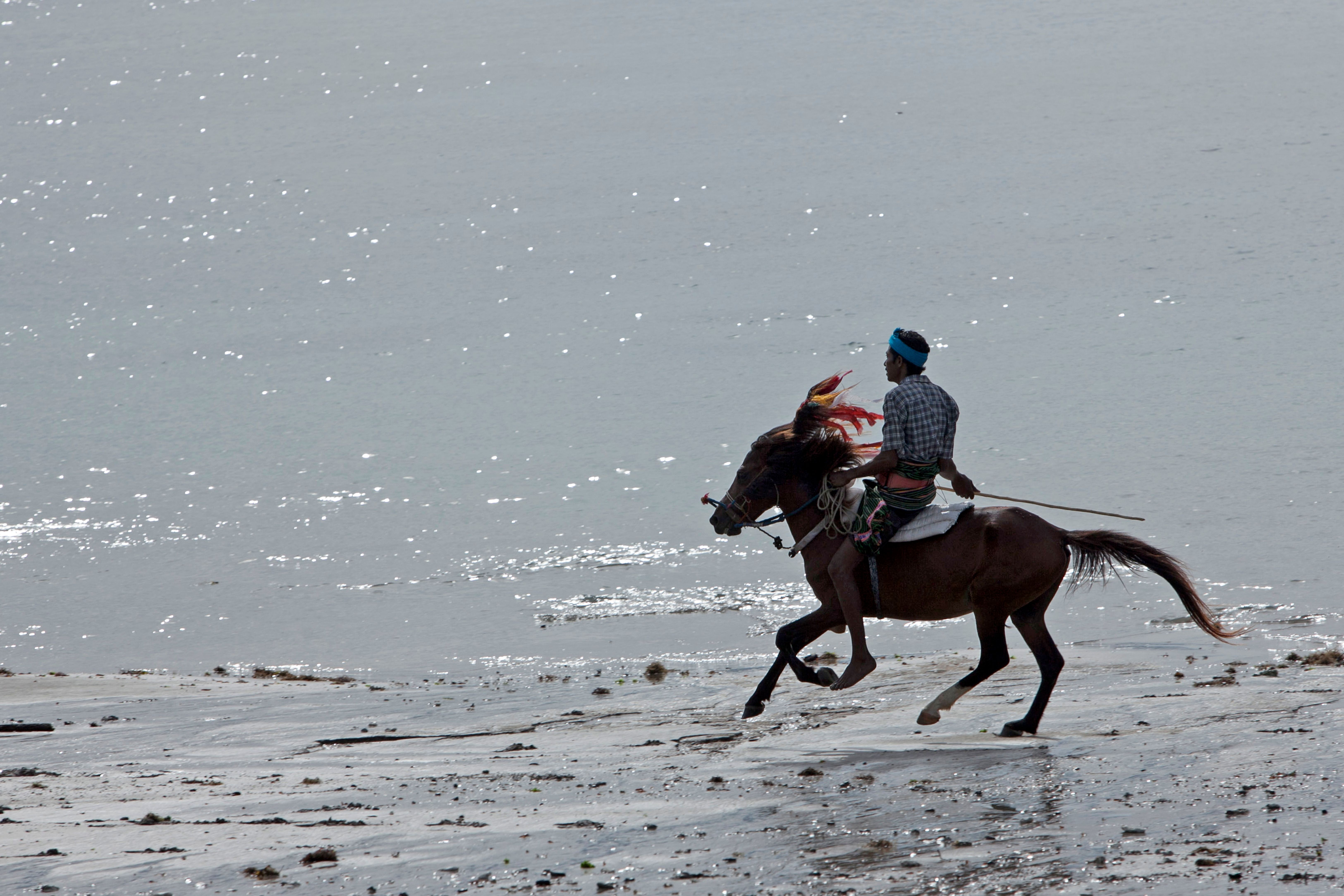 Man Riding Horse Galloping on Sandy Beach · Free Stock Photo