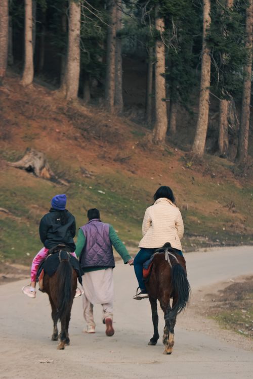 Free Two people on horseback with a guide walking through a forest path. Stock Photo