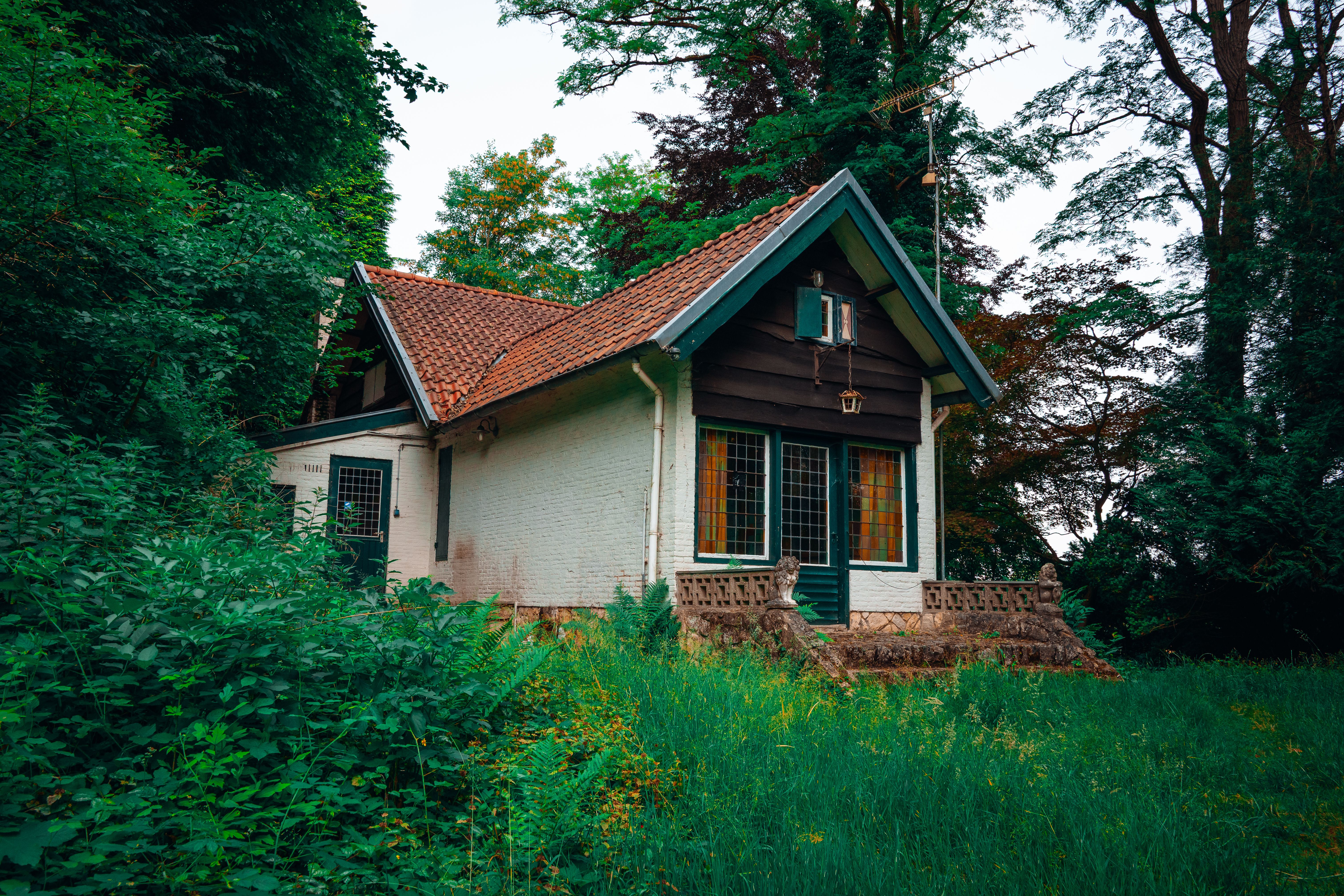 Charming Cottage Hidden in Lush Greenery · Free Stock Photo